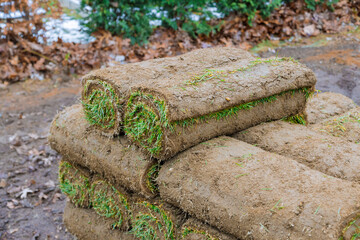 On construction site unload green grass turf rolls in pallets for landscaping purposes.