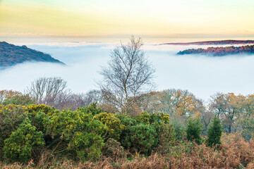 A view overlooking the mist filled valley of Horner Water to Bossington Hill and Minehead North Hill on Exmoor National Park at Cloutsham, Somerset, England UK