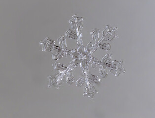 Snowflakes on a gray background