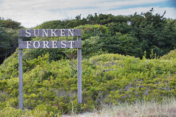 The entrance sign to enter the iconic and rare Sunken Forest located on Fire Island National Seashore, Long Island New York. This National Park can only be reached by boat