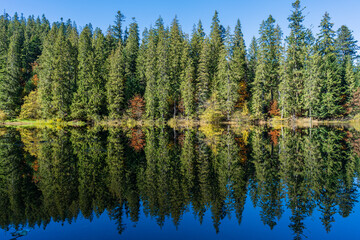 Beautiful colourful trees reflecting in calm water surface on a sunny autumn day. Vibrant landscape scene. Nature background