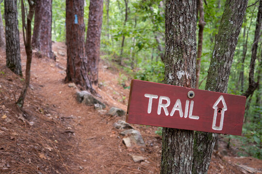 A trailhead sign and blue blaze marking along a trail through the forest