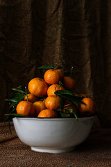 Arance e mandarini in stile pittorico