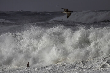 Stormy breaking waves