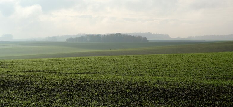 Plaine de Waterloo, paysage de la campagne brabançonne dans le brouillard automnal