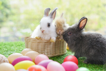 adorable bunnies decorated with easter eggs, concept for easter celebration