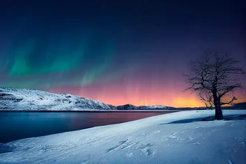 Fotobehang Northen light under mountains and ocean. Beautiful landscape in Norway, Island. © Sirius1717