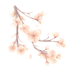 watercolor flower10