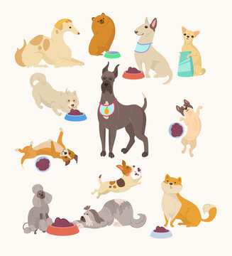 Cute comic dogs eating vector illustrations set. Collection of cartoon drawings of domestic animal characters with bowls of food isolated on white background. Pets, animal care concept