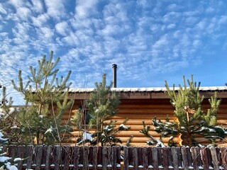 Close-up of a wooden log house in a winter pine forest. Chalet among snow-covered firs on a sunny winter day. Expensive suburban real estate. Wooden cottage in a coniferous forest against the blue sky