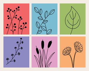 vector hand drawn botanical flower leaves line art poster template set.