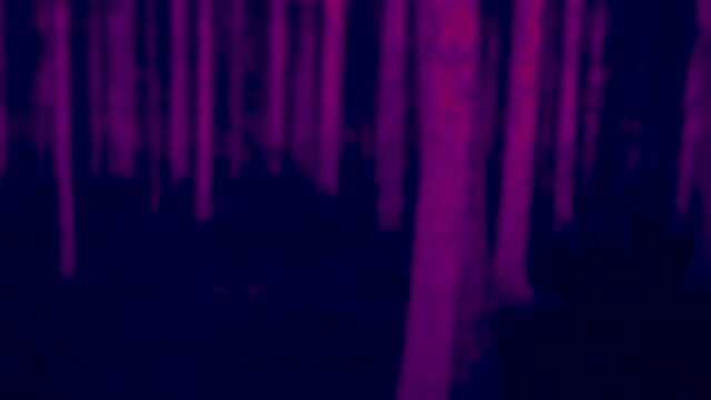 Hare jumps on the ground in the forest at night, thermal vision view