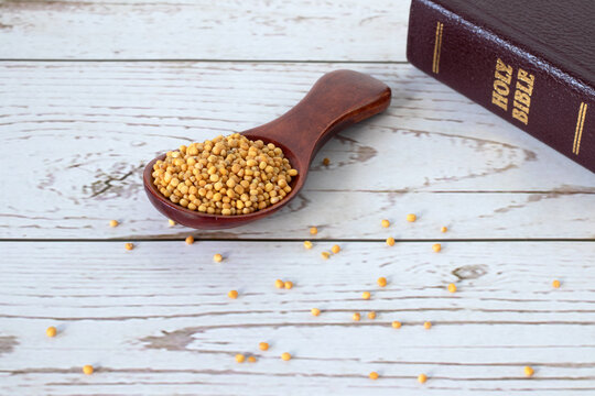 Spoon with mustard seeds and Holy Bible book on rustic wooden background. A close-up. Faith parable of God Jesus Christ, Christian gospel, biblical concept.