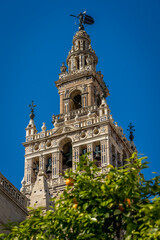 Fototapeta na wymiar View of the La Giralda tower in Seville, in Spain. National Monument.