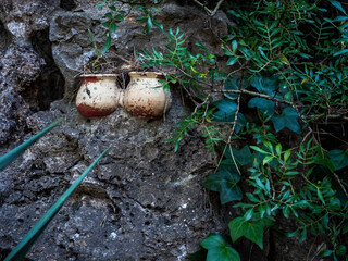 Obraz premium imagen de unas piedras blancas entre las piedras marrones y hierbas alrededor 