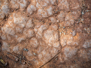 imagen textura suelo de tierra erosionado por la lluvia y el viento 