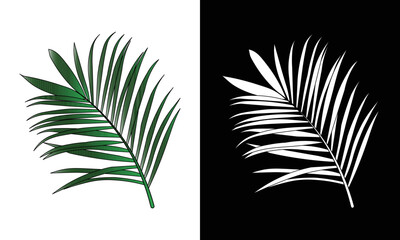  vector tropical leaves palm branch realistic frame composition.