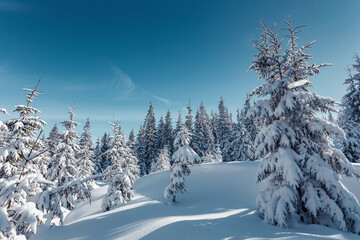 Wonderful Winter Landscape. Awesome Alpine Highlands in Sunny Day. Christmas holyday concept. Winter mountain forest. Snowy mountains and perfect blue sky. Amazing Nature background. postcard