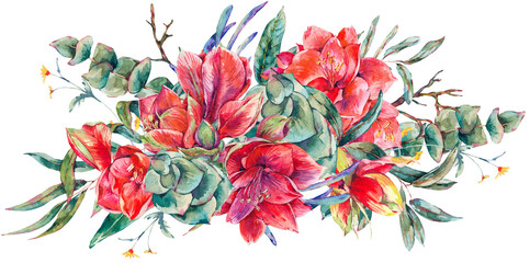 Watercolor red flowers bouquet, Amaryllis, eucalyptus, tropical leaves and succulents, botanical natural vintage illustration transparent png