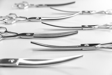 Set of professional grooming scissors