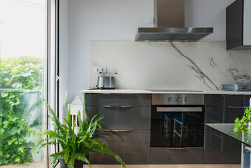 Fototapeta na wymiar Modern kitchen with living plants in the interior