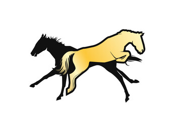 Two horses vector illustration, flat design