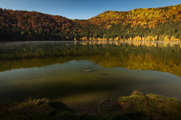 Beautiful colourful landscape in autumn season with rays of light in forest and lake reflection. Romania