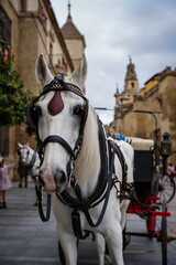 Horse carriage in the old town of Cordoba on a cloudy day