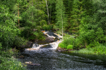 Picturesque forest river with a small rocky waterfall somewhere in Karelia.