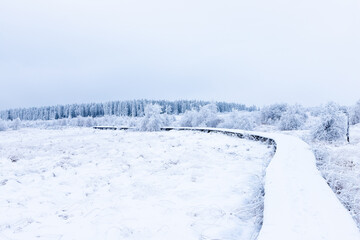 Fresh snow fall in the high fens of Baraque Michel of the Belgium Ardennes covering the landscape...