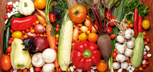 Assortment of ripe autumn vegetables, wide background.