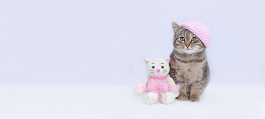 Beautiful baby Cat on a white background. Little Kitten close up. Small cute Kitten sits next to a toy pink Cat. Beautiful Cat posing at camera. Copy space. Pet care .Web banner. Place for text 