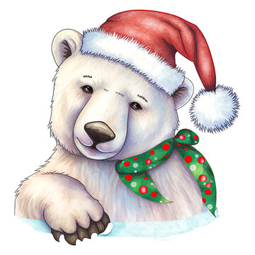 Polar Bears Christmas Watercolor