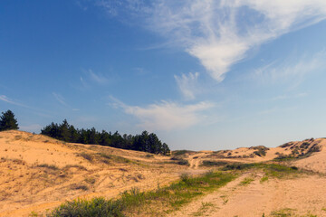 View of the Oleshkiv sands - the Ukrainian desert near the city of Kherson. Ukraine