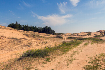 View of the Oleshkiv sands - the Ukrainian desert near the city of Kherson. Ukraine