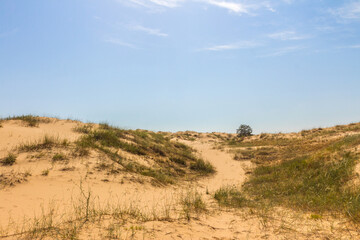 View of the Oleshkiv sands - the Ukrainian desert near the city of Kherson. Ukraine