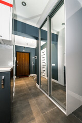 entrance hall corridor with doors and mirrored wardrobe apartment house apartment