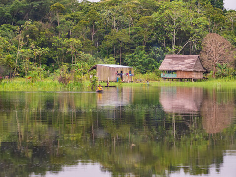 Amazonia