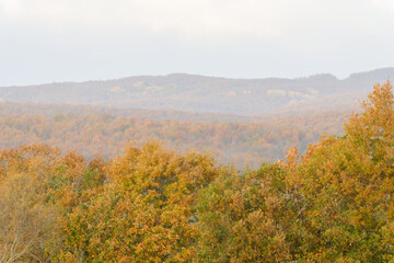Obraz premium autumn in the mountains