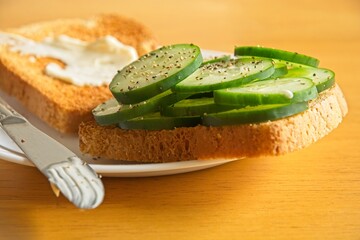 Close-up plate of sliced cucumber and mayonnaise spread on wheat toast