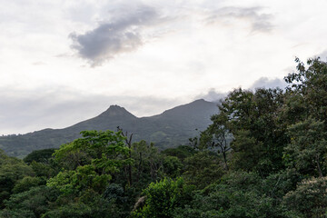 Montañas en Santa Fe naturaleza verde 