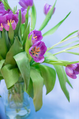 Purple tulip bouquet, Top view over wooden table. Greeting card style. Bunch of fresh cut spring flowers.