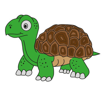 Sea turtle, funny turtle, sea animal, vector illustration about animals