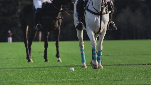 Polo game, two teams on horseback in slow motion. Horseback riding. Polo in the grass arena, equestrian sports in the stadium. Strikes the ball with a wooden mallet. Luxury polo club for celebrities.