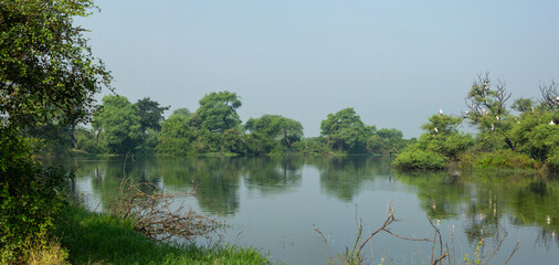 Beautiful Panoramic view of  a lake of Keoladeo Ghana National Park, Bharatpur, India