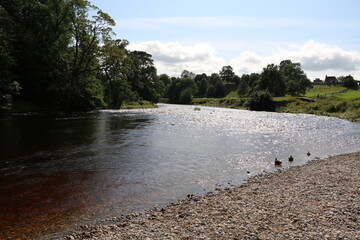 River Wharfe around Bolton Abbey, England Great Britain