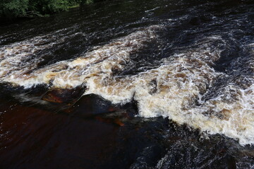River Wharfe nearby Bolton Abbey, England Great Britain