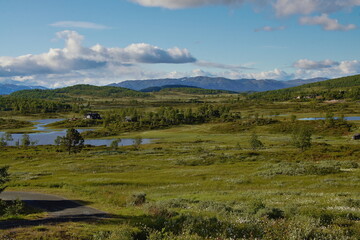 Route 37 between Rjukan and Totak, Vestfold og Telemark County, Norway.