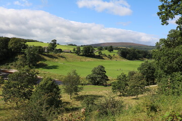 Summer landscape around Bolton Abbey, England Great Britain