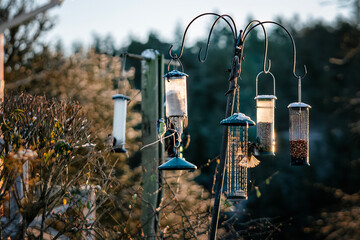 Fototapeta na wymiar feeders for wild birds with different feeds